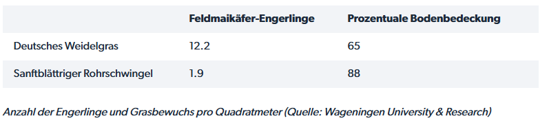 Zrzut ekranu 2026-08-03 010757.png
